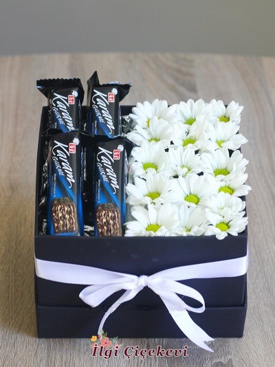 Kutuda Papatya ve Karam