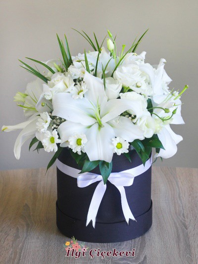 Kutuda Beyaz Arajman