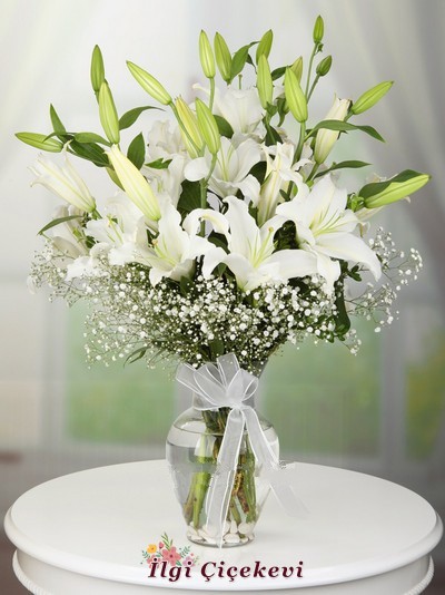 Vazoda Beyaz Lilyumlar